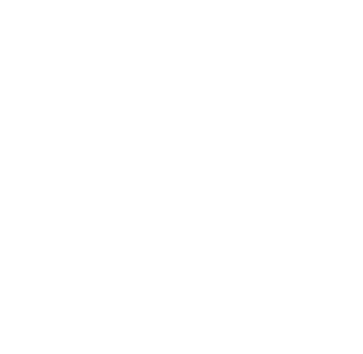 S9T Concert